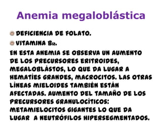 Anemia megaloblástica
Deficiencia de folato.
Vitamina B12.
En esta anemia se observa un aumento
de los precursores eritroides,
megaloblástos, lo que da lugar a
hematíes grandes, macrocitos. Las otras
líneas mieloides también están
afectadas. Aumento del tamaño de los
precursores granulocíticos:
metamielocitos gigantes lo que da
lugar a neutrófilos hipersegmentados.
 