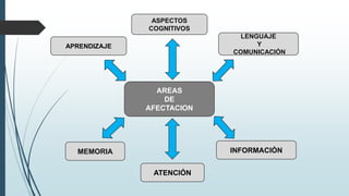 AREAS
DE
AFECTACION
ASPECTOS
COGNITIVOS
LENGUAJE
Y
COMUNICACIÓN
INFORMACIÓN
ATENCIÓN
MEMORIA
APRENDIZAJE
 