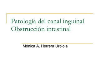 Patología del canal inguinal Obstrucción intestinal Mónica A. Herrera Urbiola 