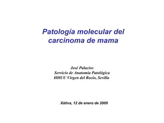 Patología molecular del carcinoma de mama José Palacios Servicio de Anatomía Patológica HHUU Virgen del Rocío, Sevilla   Xàtiva, 12 de enero de 2009 