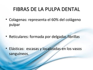 FIBRAS DE LA PULPA DENTALFIBRAS DE LA PULPA DENTAL
• Colagenas: representa el 60% del colágeno
pulpar
• Reticulares: formada por delgadas fibrillas
• Elásticas: escasas y localizadas en los vasos
sanguíneos.
 