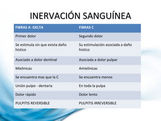 INERVACIÓN SANGUÍNEAINERVACIÓN SANGUÍNEA
FIBRAS A -DELTA FIBRAS C
Primer dolor Segundo dolor
Se estimula sin que exista daño
histico
Su estimulación asociada a daño
histico
Asociado a dolor dentinal Asociada a dolor pulpar
Mielinicas Amielinicas
Se encuentra mas que la C Se encuentra menos
Unión pulpo - dentaria En toda la pulpa
Dolor rápido Dolor lento
PULPITIS REVERSIBLE PULPITIS IRREVERSIBLE
 