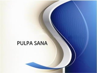 PULPA SANAPULPA SANA
 