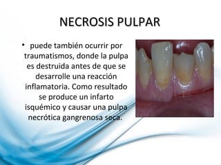 NECROSIS PULPARNECROSIS PULPAR
• puede también ocurrir por
traumatismos, donde la pulpa
es destruida antes de que se
desarrolle una reacción
inflamatoria. Como resultado
se produce un infarto
isquémico y causar una pulpa
necrótica gangrenosa seca.
 
