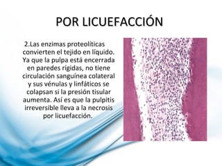 POR LICUEFACCIÓNPOR LICUEFACCIÓN
2.Las enzimas proteolíticas
convierten el tejido en líquido.
Ya que la pulpa está encerrada
en paredes rígidas, no tiene
circulación sanguínea colateral
y sus vénulas y linfáticos se
colapsan si la presión tisular
aumenta. Así es que la pulpitis
irreversible lleva a la necrosis
por licuefacción.
 