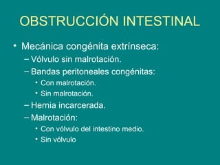 OBSTRUCCIÓN INTESTINAL
• Mecánica congénita extrínseca:
  – Vólvulo sin malrotación.
  – Bandas peritoneales congénitas:
    • Con malrotación.
    • Sin malrotación.
  – Hernia incarcerada.
  – Malrotación:
    • Con vólvulo del intestino medio.
    • Sin vólvulo
 