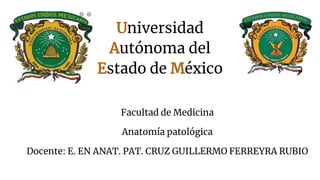 Universidad
Autónoma del
Estado de México
Facultad de Medicina
Anatomía patológica
Docente: E. EN ANAT. PAT. CRUZ GUILLERMO FERREYRA RUBIO
 