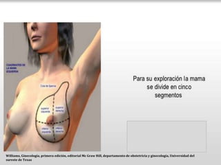 Exploración clínica
Movimientos circulares presionando el
tejido mamario entre los dedos y la
pared del tórax
Williams, Gi...