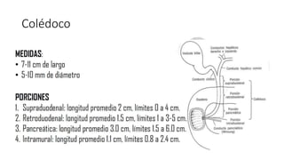 Patología biliar.pptx