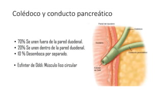 Patología biliar.pptx