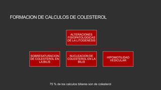 FORMACION DE CALCULOS DE COLESTEROL

ALTERACIONES
FISIOPATOLOGICAS
DE LA LITOGENESIS

SOBRESATURACION
DE COLESTEROL EN
LA BILIS

NUCLEACION DE
COLESTEROL EN LA
BILIS

HIPOMOTILIDAD
VESICULAR

75 % de los calculos biliares son de colesterol

 