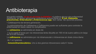 Antibioterapia
encuentra estable, no es un anciano ni diabético ni padece alguna otra enfermedad
debilitante, se deben administrar antibióticos activos frente al E.coli, Klebsiella
pneumoniae, Enterobacter y Enterococcus spp. Son varias las opciones posibles:
• Cefalosporina de tercera generación.
La administración de Cefotaxima o Ceftriaxona puede ser suficiente para controlar la
enfermedad en estos casos no complicados.
La cefotaxima se administra en dosis de:
1 a 2 g cada 8 horas por vía intravenosa lenta disuelta en 100 ml de suero salino a lo largo
de 50 a 60 minutos.
La ceftriaxona se administra por vía intramuscular o intravenosa en dosis única diaria:
de 1 a 2 gramos.
• Amoxicilina/clavulánico. Uno a dos gramos intravenosos cada 8 horas.

 