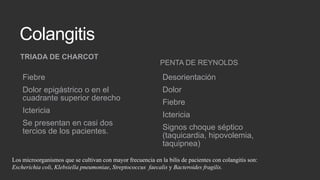 Colangitis
TRIADA DE CHARCOT

PENTA DE REYNOLDS

Fiebre

Desorientación

Dolor epigástrico o en el
cuadrante superior derecho

Dolor

Ictericia
Se presentan en casi dos
tercios de los pacientes.

Fiebre
Ictericia
Signos choque séptico
(taquicardia, hipovolemia,
taquipnea)

Los microorganismos que se cultivan con mayor frecuencia en la bilis de pacientes con colangitis son:
Escherichia coli, Klebsiella pneumoniae, Streptococcus faecalis y Bacteroides fragilis.

 