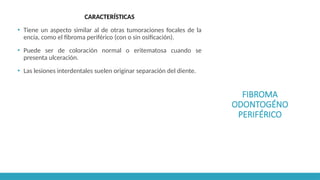 FIBROMA
ODONTOGÉNO
PERIFÉRICO
CARACTERÍSTICAS
▪ Tiene un aspecto similar al de otras tumoraciones focales de la
encía, como el fibroma periférico (con o sin osificación).
▪ Puede ser de coloración normal o eritematosa cuando se
presenta ulceración.
▪ Las lesiones interdentales suelen originar separación del diente.
 