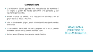 GRANULOMA
PERIFÉRICO DE
CÉLULAS GIGANTES
CARACTERÍSTICAS
▪ Es la lesión de células gigantes más frecuente de los maxilares y
se origina a partir del tejido conjuntivo del periostio y del
ligamento periodontal.
▪ Afecta a todas las edades, más frecuente en mujeres y en el
grupo de edad de 30 a 40 años.
▪ Solo se presenta en gingiva, entre primeros molares permanentes
e incisivos.
▪ Es un nódulo focal sésil de color púrpura de la encía, puede
aumentar de tamaño pudiendo alcanzar 2 cm.
▪ Suelen ser exofíticas y abarcan uno o más dientes.
 