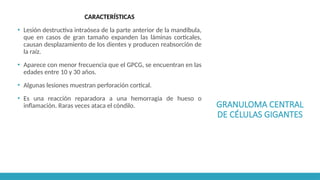 GRANULOMA CENTRAL
DE CÉLULAS GIGANTES
CARACTERÍSTICAS
▪ Lesión destructiva intraósea de la parte anterior de la mandíbula,
que en casos de gran tamaño expanden las láminas corticales,
causan desplazamiento de los dientes y producen reabsorción de
la raíz.
▪ Aparece con menor frecuencia que el GPCG, se encuentran en las
edades entre 10 y 30 años.
▪ Algunas lesiones muestran perforación cortical.
▪ Es una reacción reparadora a una hemorragia de hueso o
inflamación. Raras veces ataca el cóndilo.
 