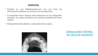 GRANULOMA CENTRAL
DE CÉLULAS GIGANTES
RADIOLOGÍA
▪ Consiste en una Radiotransparencia con una línea de
demarcación indistinta con el hueso normal adyacente.
▪ La expansión bucal y lingual suele observarse en las radiografías
oclusales, las cuales presentan una ausencia completa de hueso
cortical.
▪ Desplazamiento de dientes y reabsorción de las raíces.
 