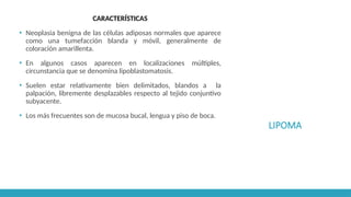 LIPOMA
CARACTERÍSTICAS
▪ Neoplasia benigna de las células adiposas normales que aparece
como una tumefacción blanda y móvil, generalmente de
coloración amarillenta.
▪ En algunos casos aparecen en localizaciones múltiples,
circunstancia que se denomina lipoblastomatosis.
▪ Suelen estar relativamente bien delimitados, blandos a la
palpación, libremente desplazables respecto al tejido conjuntivo
subyacente.
▪ Los más frecuentes son de mucosa bucal, lengua y piso de boca.
 
