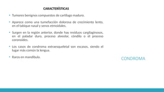 CONDROMA
CARACTERÍSTICAS
▪ Tumores benignos compuestos de cartílago maduro.
▪ Aparece como una tumefacción dolorosa de crecimiento lento,
en el tabique nasal y senos etmoidales.
▪ Surgen en la región anterior, donde hay residuos cargilaginosos,
en el paladar duro, proceso alveolar, cóndilo o el proceso
coronoides.
▪ Los casos de condroma extraesqueletal son escasos, siendo el
lugar más común la lengua.
▪ Raros en mandíbula.
 