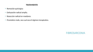 FIBROSARCOMA
TRATAMIENTO
▪ Remoción quirúrgica
▪ Extirpación radical amplia.
▪ Resección radical en maxilares.
▪ Pronóstico malo, sea cual sea el régimen terapéutico.
 