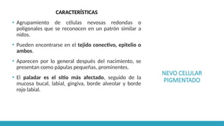 NEVO CELULAR
PIGMENTADO
CARACTERÍSTICAS
▪ Agrupamiento de células nevosas redondas o
poligonales que se reconocen en un patrón similar a
nidos.
▪ Pueden encontrarse en el tejido conectivo, epitelio o
ambos.
▪ Aparecen por lo general después del nacimiento, se
presentan como pápulas pequeñas, prominentes.
▪ El paladar es el sitio más afectado, seguido de la
mucosa bucal, labial, gingiva, borde alveolar y borde
rojo labial.
 