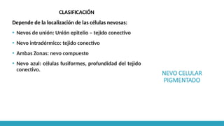 NEVO CELULAR
PIGMENTADO
CLASIFICACIÓN
Depende de la localización de las células nevosas:
▪ Nevos de unión: Unión epitelio – tejido conectivo
▪ Nevo intradérmico: tejido conectivo
▪ Ambas Zonas: nevo compuesto
▪ Nevo azul: células fusiformes, profundidad del tejido
conectivo.
 