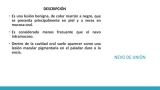 NEVO DE UNIÓN
DESCRIPCIÓN
▪ Es una lesión benigna, de color marrón a negro, que
se presenta principalmente en piel y a veces en
mucosa oral.
▪ Es considerado menos frecuente que el nevo
intramucoso.
▪ Dentro de la cavidad oral suele aparecer como una
lesión macular pigmentaria en el paladar duro o la
encía.
 