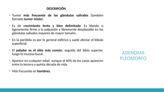 ADENOMA
PLEOMORFO
DESCRIPCIÓN
▪ Tumor más frecuente de las glándulas salivales (también
llamado tumor mixto).
▪ Es de crecimiento lento y bien delimitado. Es blando o
ligeramente firme a la palpación y libremente desplazable en las
glándulas salivales mayores de mayor tamaño.
▪ En la parótida es por lo general esférico y suele afectar el lóbulo
superficial.
▪ El paladar es el sitio más común, seguido del labio superior,
luego la mucosa bucal.
▪ Aparece en cualquier edad, aunque el 60% de los casos aparecen
entre la tercera y quinta década de vida.
▪ Más frecuente en hombres.
 