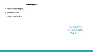 ADENOMA
PLEOMORFO
MALIGNO
TRATAMIENTO
▪ Remoción quirúrgica.
▪ Parotidectomía
▪ Excisión quirúrgica.
 