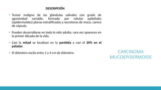 CARCINOMA
MUCOEPIDERMOIDE
DESCRIPCIÓN
▪ Tumor maligno de las glándulas salivales con grado de
agresividad variable, formado por células epiteliales
(epidermoides) planas estratificadas y secretoras de moco, carece
de cápsula.
▪ Pueden desarrollarse en toda la vida adulta, rara vez aparecen en
la primer década de la vida.
▪ Casi la mitad se localizan en la parótida y casi el 20% en el
paladar.
▪ El diámetro oscila entre 1 y 4 cm de diámetro.
 