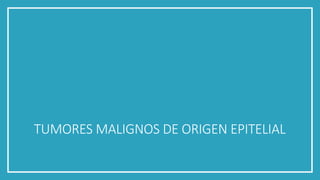 TUMORES MALIGNOS DE ORIGEN EPITELIAL
 