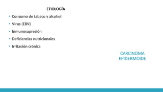 CARCINOMA
EPIDERMOIDE
ETIOLOGÍA
▪ Consumo de tabaco y alcohol
▪ Virus (EBV)
▪ Inmunosupresión
▪ Deficiencias nutricionales
▪ Irritación crónica
 