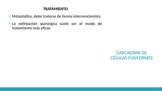 CARCINOMA DE
CÉLULAS FUSIFORMES
TRATAMIENTO
▪ Metastatiza, debe tratarse de forma intervencionista.
▪ La extirpación quirúrgica suele ser el modo de
tratamiento más eficaz.
 