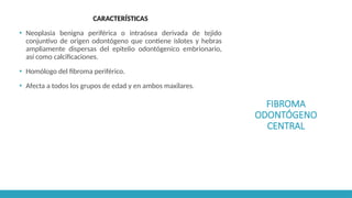 FIBROMA
ODONTÓGENO
CENTRAL
CARACTERÍSTICAS
▪ Neoplasia benigna periférica o intraósea derivada de tejido
conjuntivo de origen odontógeno que contiene islotes y hebras
ampliamente dispersas del epitelio odontógenico embrionario,
así como calcificaciones.
▪ Homólogo del fibroma periférico.
▪ Afecta a todos los grupos de edad y en ambos maxilares.
 
