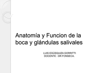 Anatomía y Funcion de la 
boca y glándulas salivales 
LUIS EGÚSQUIZA GORRITTI 
DOCENTE : DR FONSECA. 
 