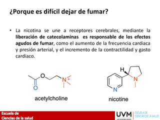 ¿Porque es difícil dejar de fumar?
• La nicotina se une a receptores cerebrales, mediante la
liberación de catecolaminas es responsable de los efectos
agudos de fumar, como el aumento de la frecuencia cardiaca
y presión arterial, y el incremento de la contractilidad y gasto
cardiaco.
 