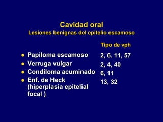 Cavidad oral
Lesiones benignas del epitelio escamoso
 Papiloma escamoso
 Verruga vulgar
 Condiloma acuminado
 Enf. de Heck
(hiperplasia epitelial
focal )
2, 6. 11, 57
2, 4, 40
6, 11
13, 32
Tipo de vph
 