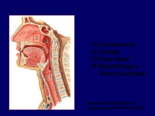 1) Cavidad oral
2) Laringe
3) Fosa nasal
4) Nasofaringe y
tracto sinonasal
1
2
3
4
Mod Pathol 1993;6:669-72
Laryngoscope 1994;104:146-52
 