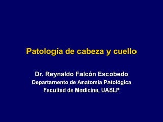Patología de cabeza y cuello
Dr. Reynaldo Falcón Escobedo
Departamento de Anatomía Patológica
Facultad de Medicina, UASLP
 
