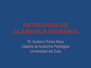 PATOLOGÍA DE
GLÁNDULA MAMARIA
Dr. Gustavo Torres Nava
Cátedra de Anatomía Patológica
Universidad del Zulia

 