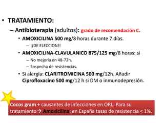 • TRATAMIENTO:
– Antibioterapia (adultos): grado de recomendación C.
• AMOXICILINA 500 mg/8 horas durante 7 días.
– ¡¡DE ELECCION!!
• AMOXICILINA-CLAVULANICO 875/125 mg/8 horas: si
– No mejoría en 48-72h.
– Sospecha de resistencias.
• Si alergia: CLARITROMICINA 500 mg/12h. Añadir
Ciprofloxacino 500 mg/12 h si DM o inmunodepresión.
Cocos gram + causantes de infecciones en ORL. Para su
tratamiento Amoxicilina: en España tasas de resistencia < 1%.
 