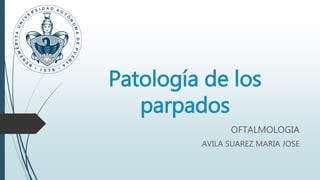 Patología de los
parpados
OFTALMOLOGIA
AVILA SUAREZ MARIA JOSE
 