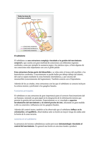 El subtalamo
El subtálamo es una estructura compleja vinculada a la gestión del movimiento
corporal y que cuenta con gran multitud de conexiones con diferentes regiones
cerebrales, como por ejemplo la sustancia negra y los núcleos rojos, si bien algunas de
sus conexiones más importantes son con el globo palido
Esta estructura forma parte del diencéfalo y se sitúa entre el tronco del encéfalo y los
hemisferiios cerebrales. Concretamente se puede hallar por debajo debajo del talamo,
del cual se separa mediante la zona limitante intertalámica, y por encima del
mesencéfalo (concretamente del tegmentum). También conecta con el hipotalamo.
Además de las ya citadas, otras estructuras con las que el subtálamo se conecta incluyen
la corteza motora y prefrontal o los ganglios basales.
Funciones principales
El subtálamo es una estructura de gran importancia para el correcto funcionamiento del
ser humano, teniendo un gran papel en la integración de la información motora que
permite la gestión del movimiento. Especialmente se ve vinculado a aspectos
involuntarios del movimiento y al control preciso de éste, afectando en gran medida
a ello su conexión e influencia con los ganglios basales.
Además del control motor, también se ha observado que el subtálamo influye en la
orientación y el equilibrio, observándose ante su lesión un mayor riesgo de caídas ante
la lesión de la zona incierta.
Lesiones en el subtálamo
La presencia de lesiones subtalámicas suelen provocar sintomatología vinculada al
control del movimiento. En general una lesión en esta área tiende a producir
 