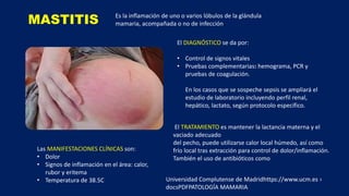 patologías benignas y maligna de la mama | PPTX