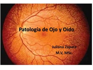 Patología de Ojo y Oido
Juliana Zapata
M.V, MSc.
 