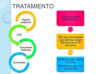 TRATAMIENTO
Higiene
palpebral

ATB

Compresas
Calientes

Corticoides

TETRACICLINAS
SISTÉMICAS

250 mg quid durante
una semana, luego
BID durante 6-12
semanas

DOXICICLINA, MINO
CICLINA.
ERITROMICINA, AZI
TROMICINA

 