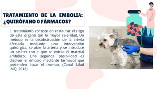 El tratamiento consiste en restaurar el riego
de este órgano con la mayor celeridad, Un
método es la desobstrucción de la arteria
afectada mediante una intervención
quirúrgica, se abre la arteria y se introduce
un catéter con el que se extrae el material
embólico. Una segunda posibilidad es
disolver el émbolo mediante fármacos que
pretenden licuar el trombo. (Canal Salud
IMQ, 2018)
 
