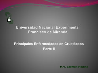 Principales Enfermedades en Crustáceos
Parte II
M.V. Carmen Medina
 