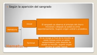 Hematuria
 Según la aparición del sangrado
Hematuria
Inicial
Terminal
El sangrado se observa al principio del chorro
miccional y después se aclara la orina
espontáneamente. Sugiere origen uretral o prostático.
Si se recoge al final de la micción, a
veces incluso como un goteo
sanguinolento justo después de
acabar la micción, sugiere origen
cercano al cuello vesical.
 