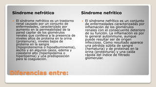 Diferencias entre:
Síndrome nefrótico Síndrome nefrítico
 El síndrome nefrótico es un trastorno
renal causado por un conjunto de
enfermedades, caracterizado por
aumento en la permeabilidad de la
pared capilar de los glomérulos
renales que conlleva a la presencia de
niveles altos de proteína en la orina
(proteinuria), niveles bajos de
proteína en la sangre
(hipoproteinemia o hipoalbuminemia),
ascitis y en algunos casos, edema y
colesterol alto (hiperlipidemia o
hiperlipemia) y una predisposición
para la coagulación.
 El síndrome nefrítico es un conjunto
de enfermedades caracterizadas por
inflamación de los glomérulos
renales con el consecuente deterioro
de su función. La inflamación es por
lo general autoinmune, aunque
puede resultar ser de origen
infeccioso. Como resultado aparece
una pérdida súbita de sangre
(hematuria) y de proteínas en la
orina (proteinuria) y una caída
rápida del índice de filtrado
glomerular.
 